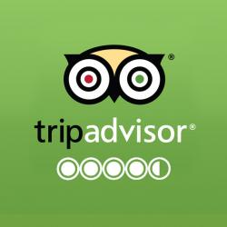 Trip advisor logo2