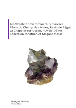 Amethyste et micromineraux associes champ des mines pegut a couv 350