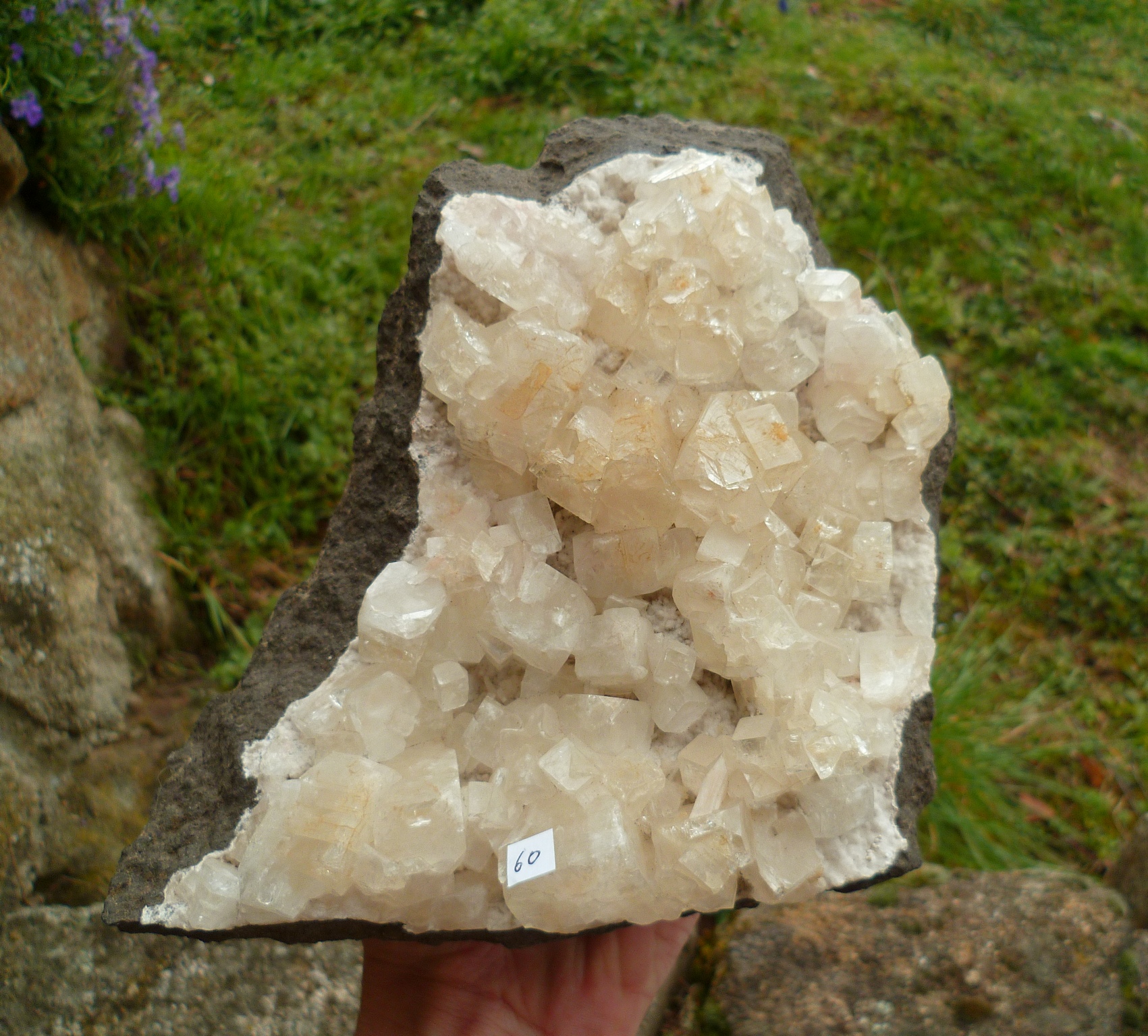 Apophyllite 4