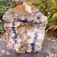 Blc03 001