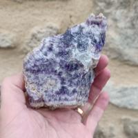 Blc07 02