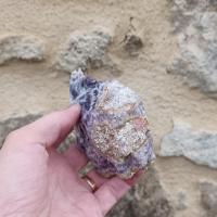 Blc07 03