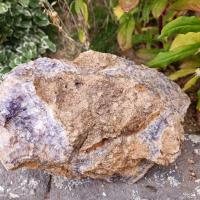 Blc17 002