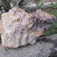 Blc20 2