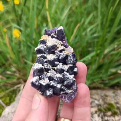 Améthyste - CRSTL19